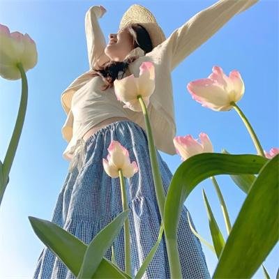 金车美人