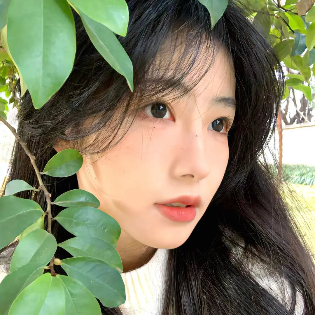 十二罗汉